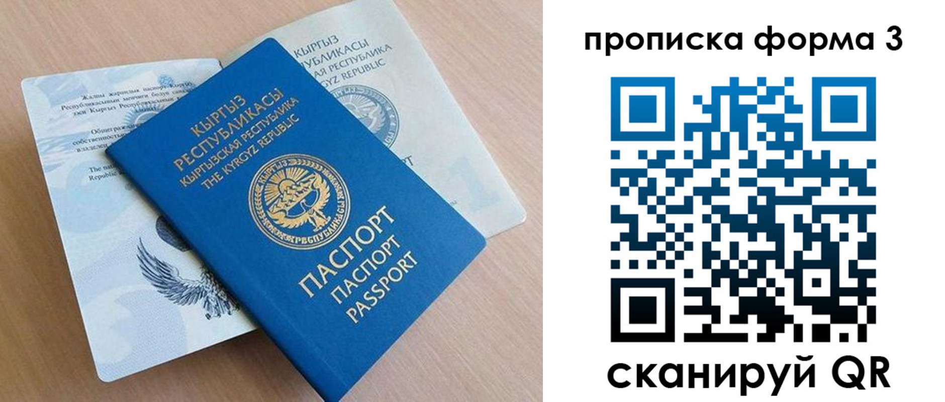 где прописаться в Липецкая области